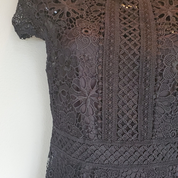 ZARA Basics collection Black Lace Dress - Picture 6 of 10